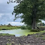 Kopice 