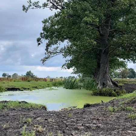 Dwór Kopice Kowalczyk Residences In Nature Parks Gospodarstwo agroturystyczne Kopice (West Pomeranian)