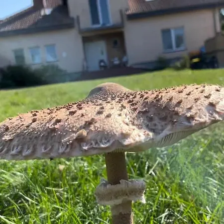 Фермерский дом Kopice 