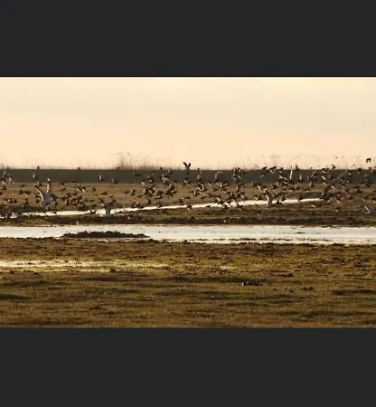 Dwór Kopice  Kowalczyk Residences In Nature Parks Gospodarstwo agroturystyczne Goleniów
