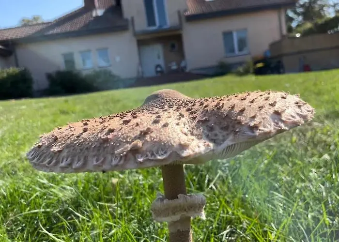 בית חווה Kopice 